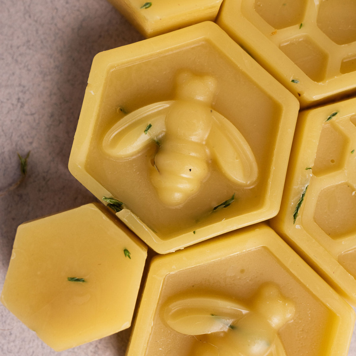 Wax Melt | Cedarwood